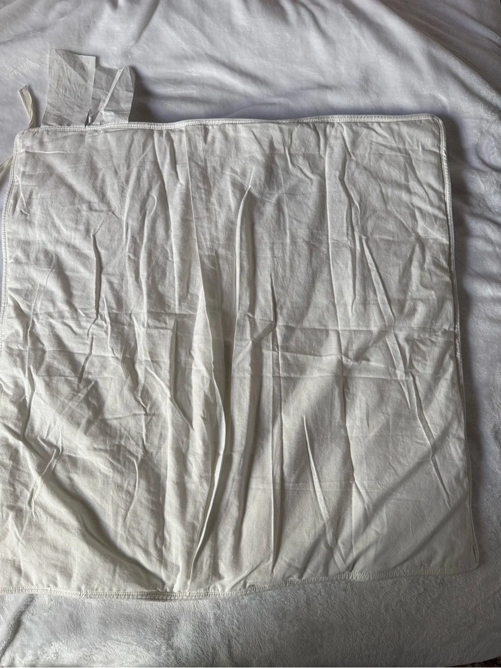 Pottery Barn Belgian Linen Euro Sham